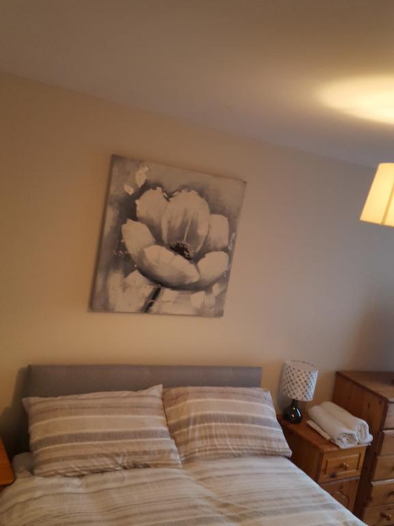 Castleton Gardens Apartments Belfast Exterior foto